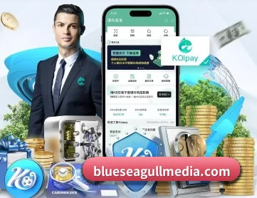 江南网页 APP 深度功能
